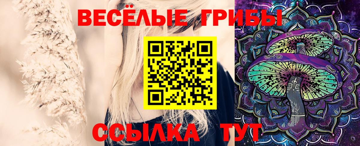 Ливны  Галлюциногенные грибы мухоморы  Вход с VPN 