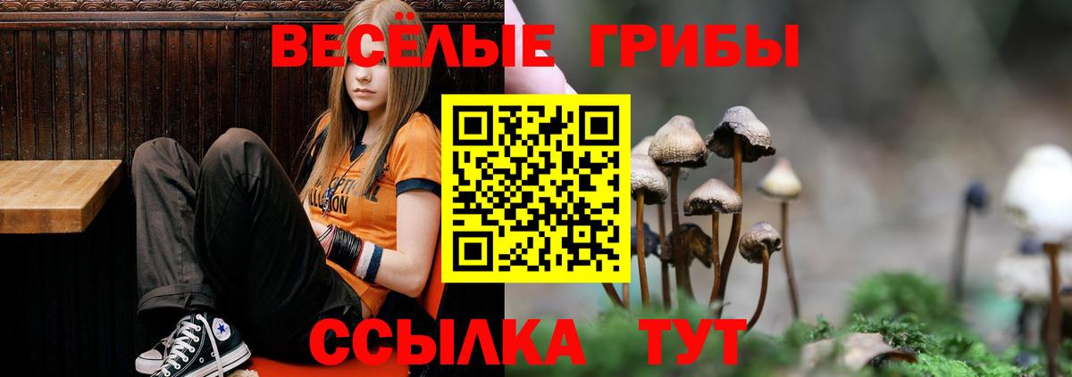 Псилоцибиновые грибы мицелий Ливны